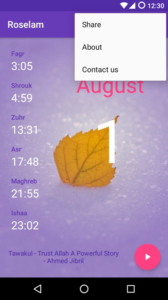 Screen Preview 3